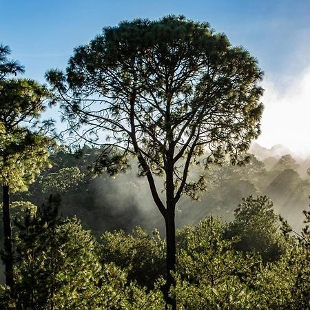 Bosque Escondido Ξενοδοχείο Mazamitla Εξωτερικό φωτογραφία
