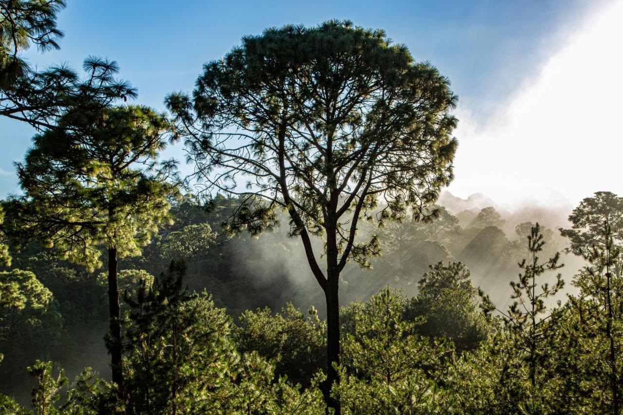 Bosque Escondido Ξενοδοχείο Mazamitla Εξωτερικό φωτογραφία