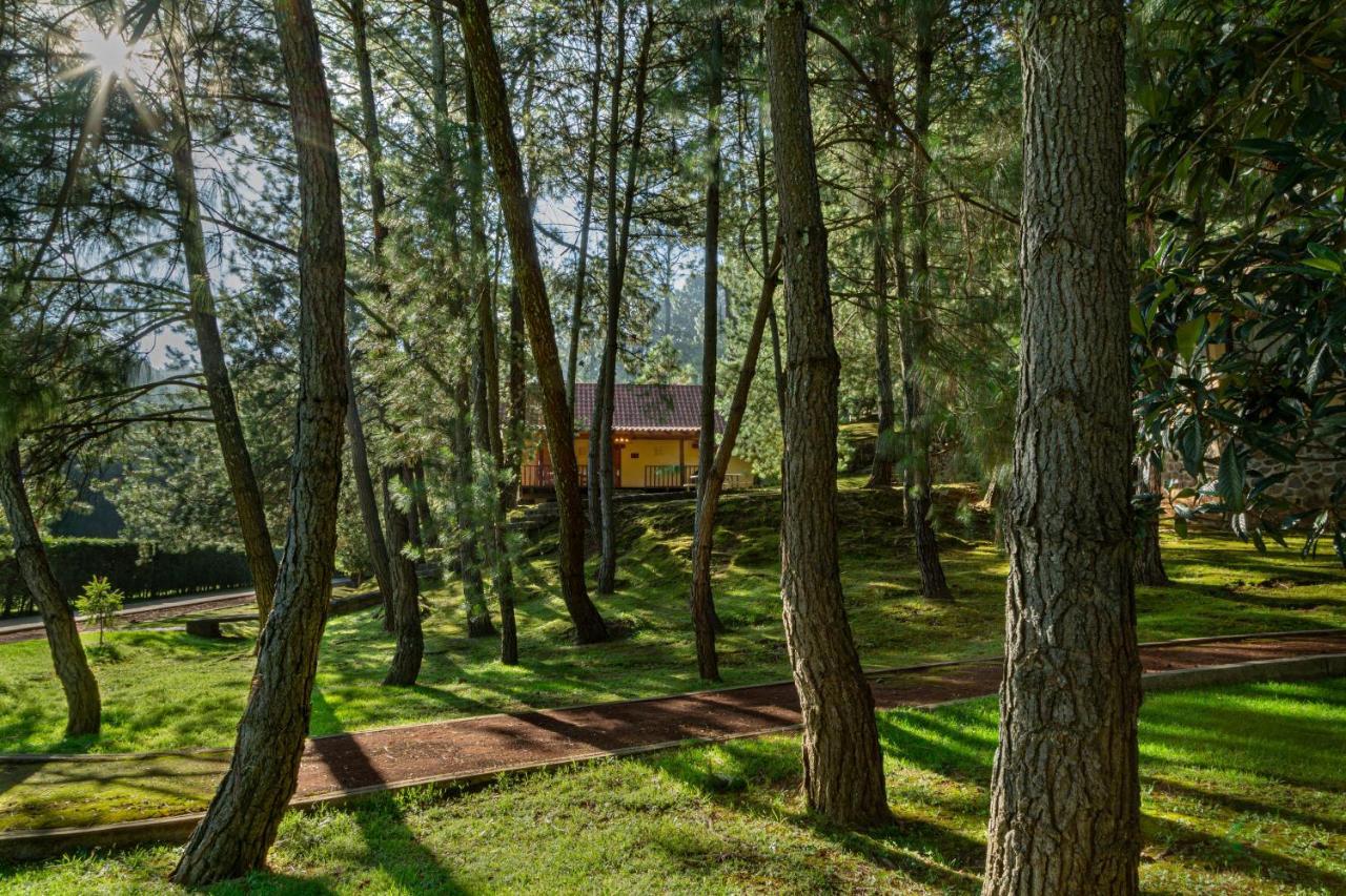 Bosque Escondido Ξενοδοχείο Mazamitla Εξωτερικό φωτογραφία